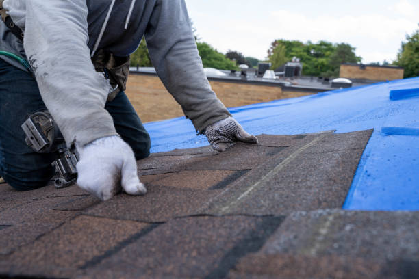 Best Roof Gutter Cleaning  in St Simons, GA
