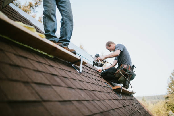 Professional Roofing Contractor in St Simons, GA